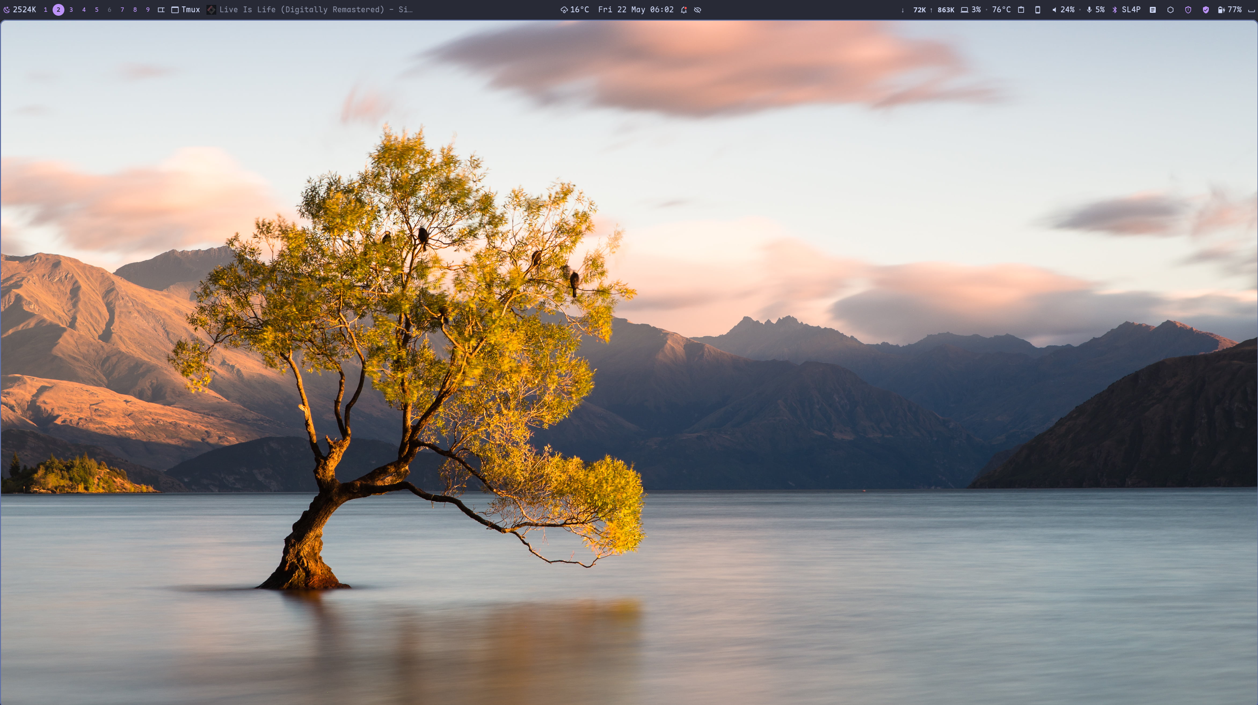 The margo desktop with the mshell top bar
